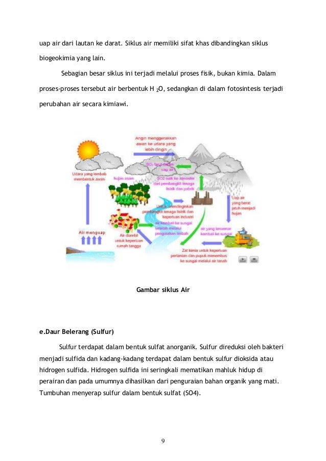 makalah siklus biogeokimia makalah siklus biogeokimia